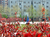 cooking-with-dr-pepper